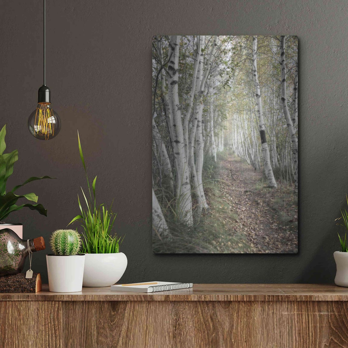 Luxe Metal Art 'Birch Trail' by Natalie Mikaels, Metal Wall Art,12x16