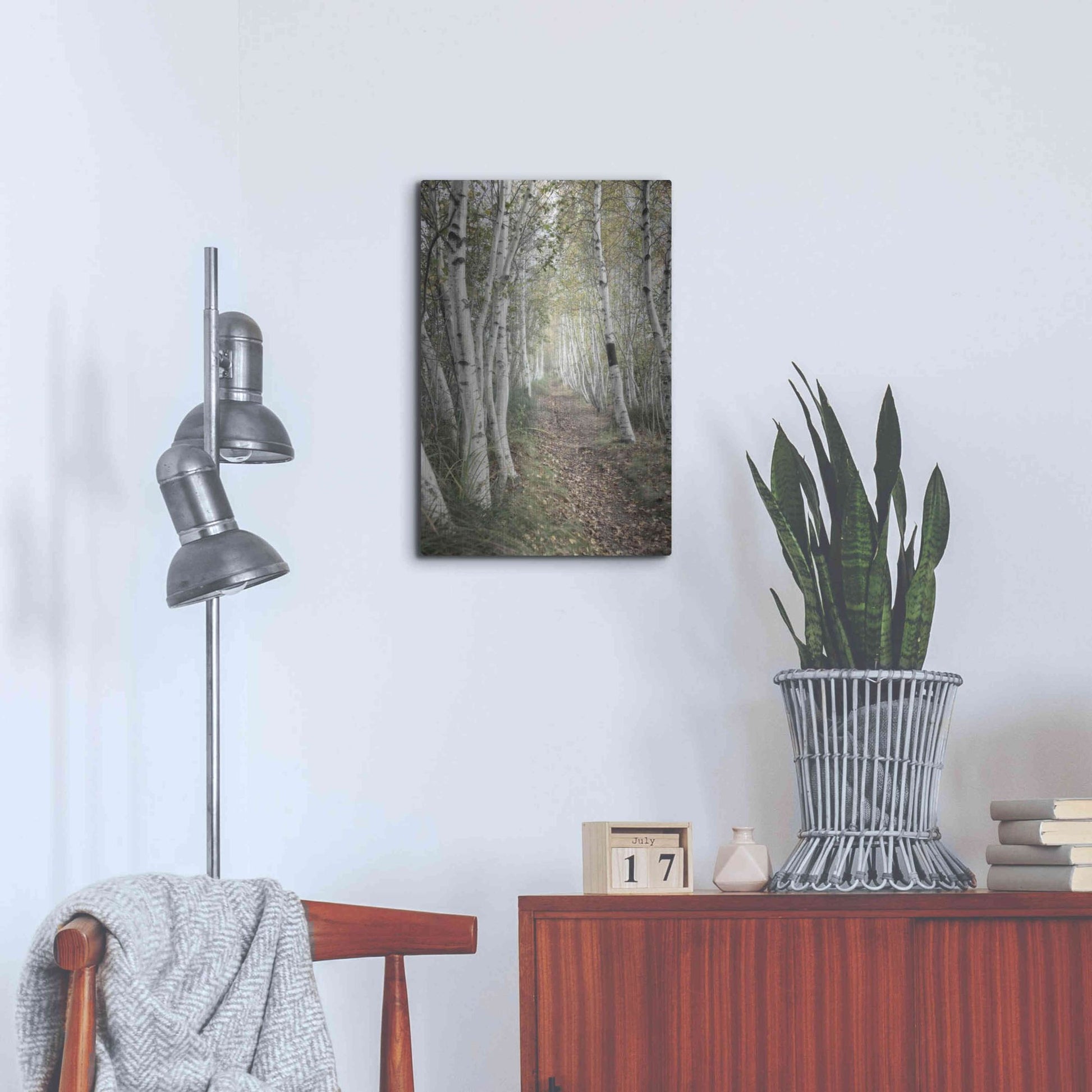 Luxe Metal Art 'Birch Trail' by Natalie Mikaels, Metal Wall Art,16x24