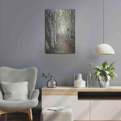 Luxe Metal Art 'Birch Trail' by Natalie Mikaels, Metal Wall Art,16x24