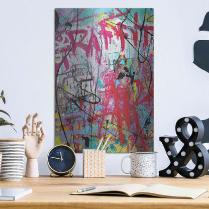 Luxe Metal Art 'Graffiti' by David Drioton, Metal Wall Art,12x16