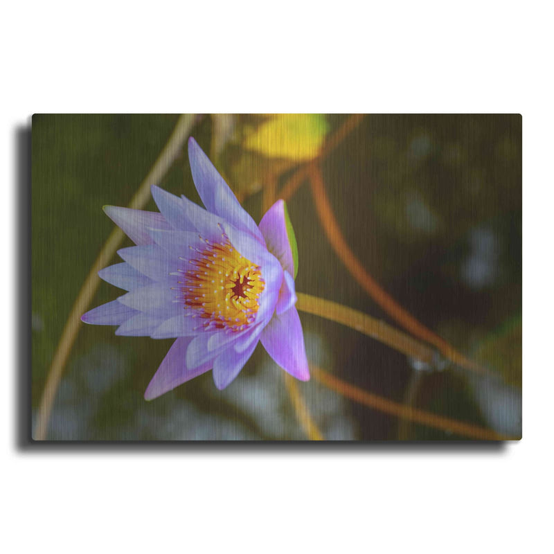 'Floral Color Theory' by Luxe Portfolio – Metal Wall Art