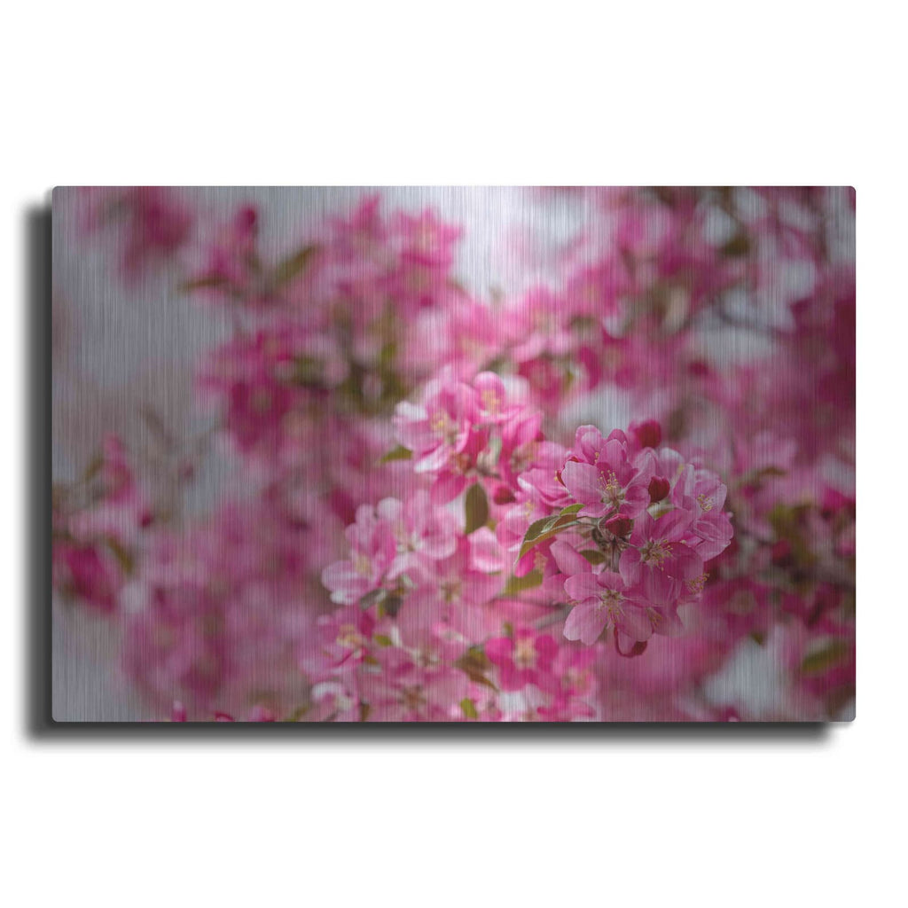'Pink Floral' by Luxe Portfolio – Metal Wall Art