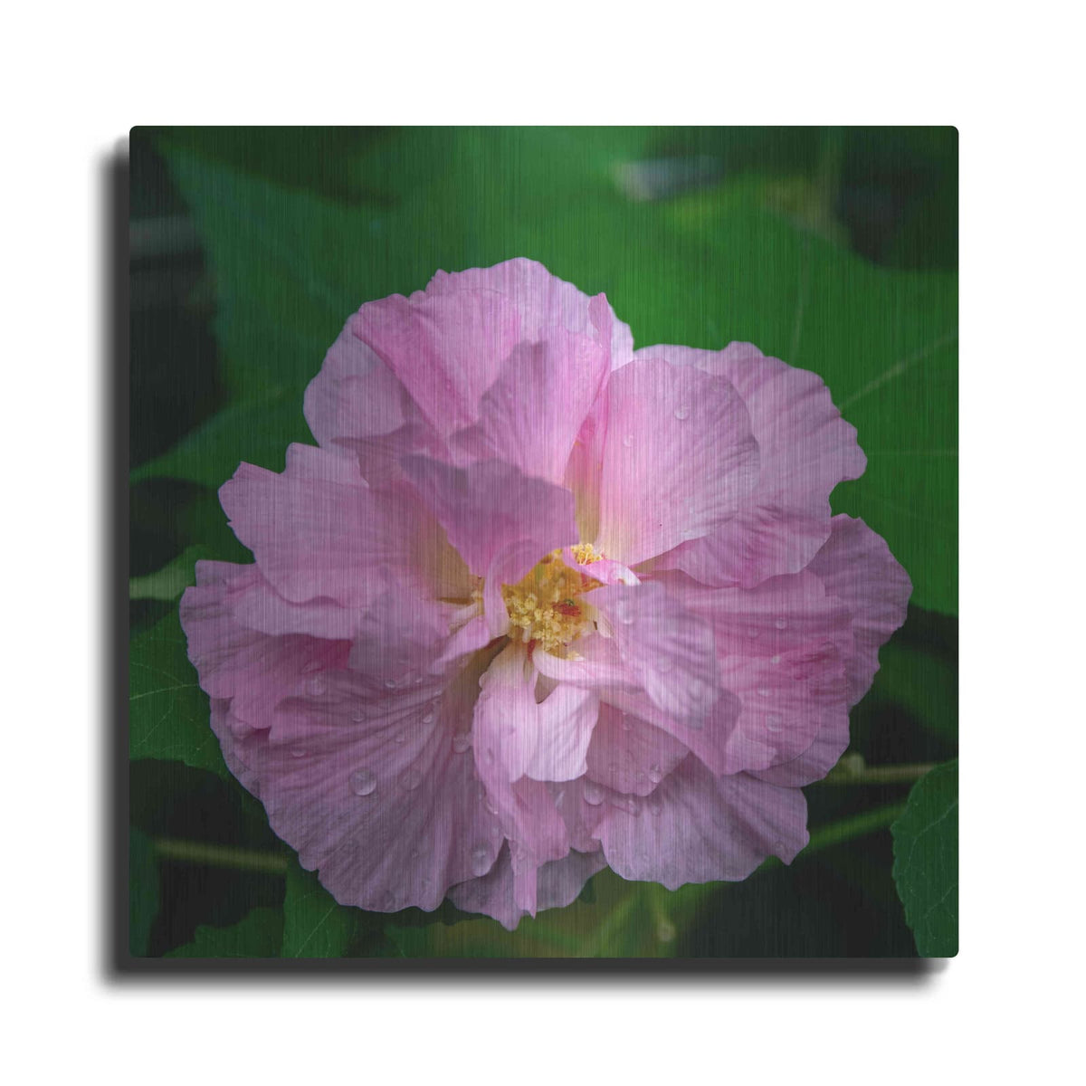 'Flower' by Luxe Portfolio – Metal Wall Art