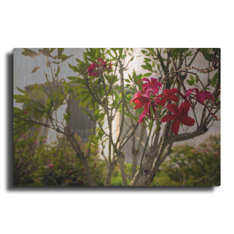 'Singapore Flower' by Luxe Portfolio – Metal Wall Art