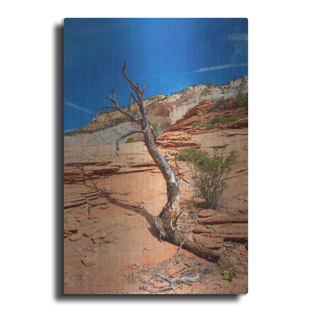 'Utah 3' by Luxe Portfolio – Metal Wall Art
