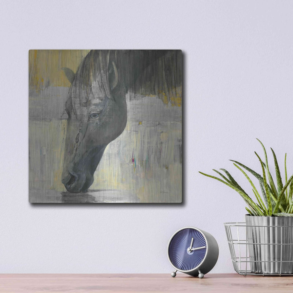 'Caleb' by Albena Hristova – Metal Wall Art, 12x12 room view