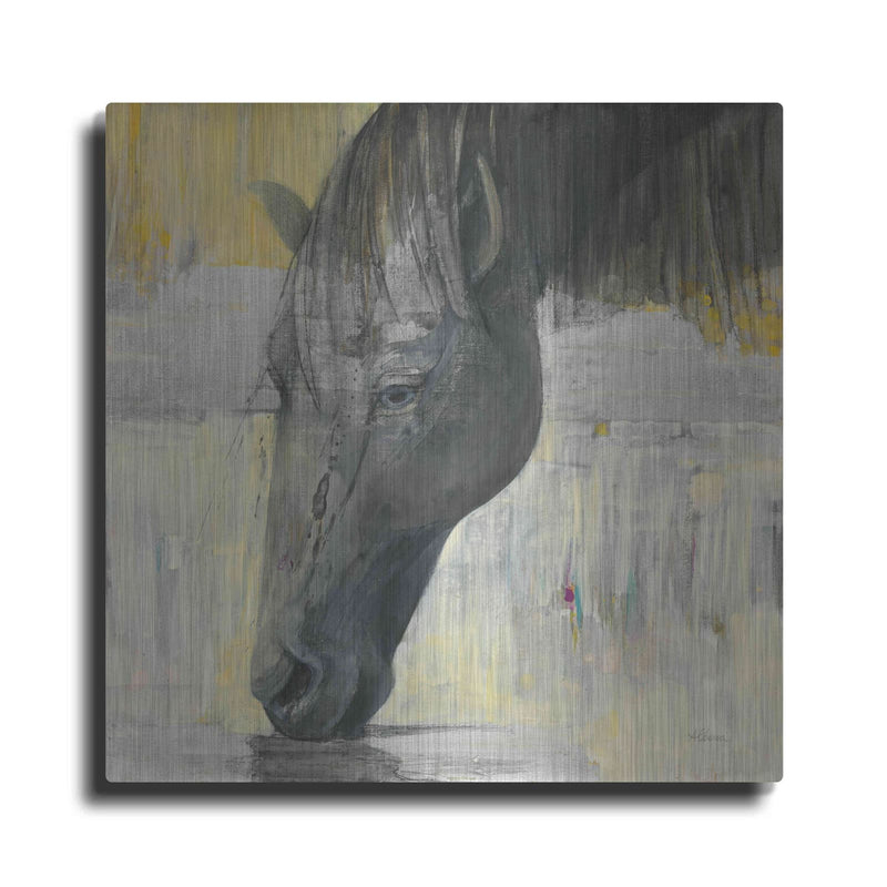 'Caleb' by Albena Hristova – Metal Wall Art