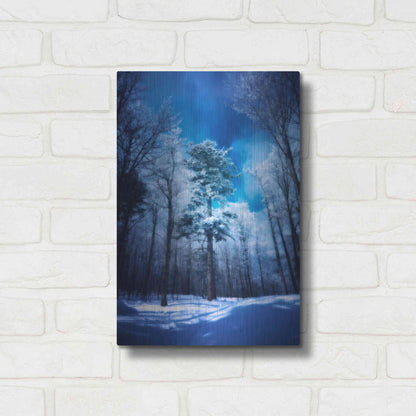 Luxe Metal Art 'The Blue Hours' by Philippe Sainte-Laudy, Metal Wall Art,12x16