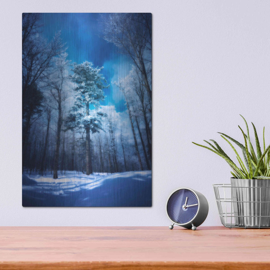 Luxe Metal Art 'The Blue Hours' by Philippe Sainte-Laudy, Metal Wall Art,12x16