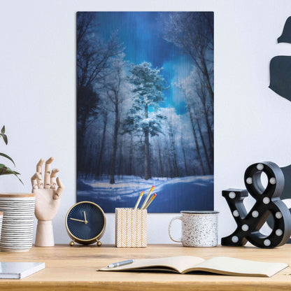 Luxe Metal Art 'The Blue Hours' by Philippe Sainte-Laudy, Metal Wall Art,12x16