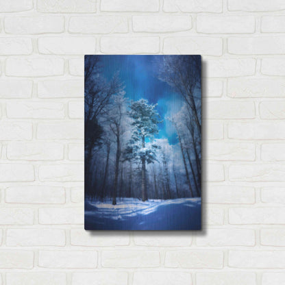 Luxe Metal Art 'The Blue Hours' by Philippe Sainte-Laudy, Metal Wall Art,16x24