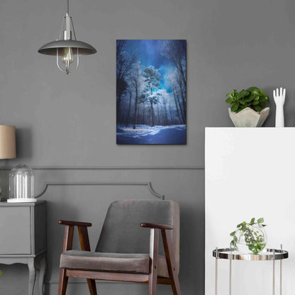 Luxe Metal Art 'The Blue Hours' by Philippe Sainte-Laudy, Metal Wall Art,16x24