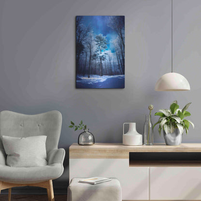 Luxe Metal Art 'The Blue Hours' by Philippe Sainte-Laudy, Metal Wall Art,16x24
