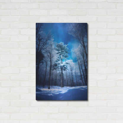 Luxe Metal Art 'The Blue Hours' by Philippe Sainte-Laudy, Metal Wall Art,24x36