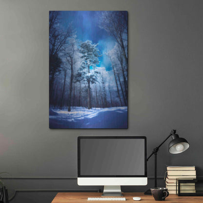 Luxe Metal Art 'The Blue Hours' by Philippe Sainte-Laudy, Metal Wall Art,24x36