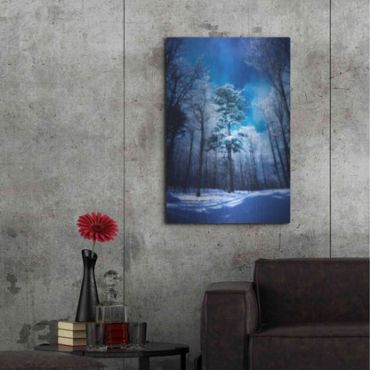 Luxe Metal Art 'The Blue Hours' by Philippe Sainte-Laudy, Metal Wall Art,24x36