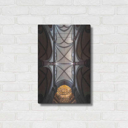 Luxe Metal Art 'The Spider Web' by Giuseppe Torre, Metal Wall Art,16x24