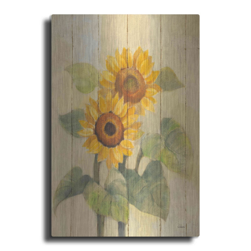 'Summer Sunflowers I on Barn Board' by Albena Hristova – Metal Wall Art