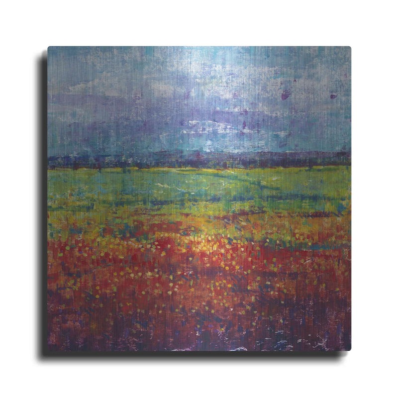 'On Summer Day I' by Tim O'Toole – Metal Wall Art