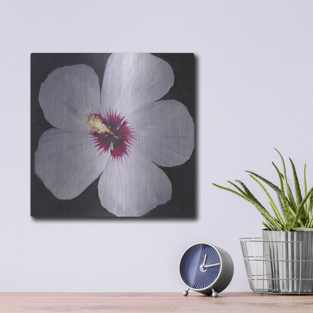 'Hibiscus Portrait I' by Tim O'Toole – Metal Wall Art, 12x12 room view