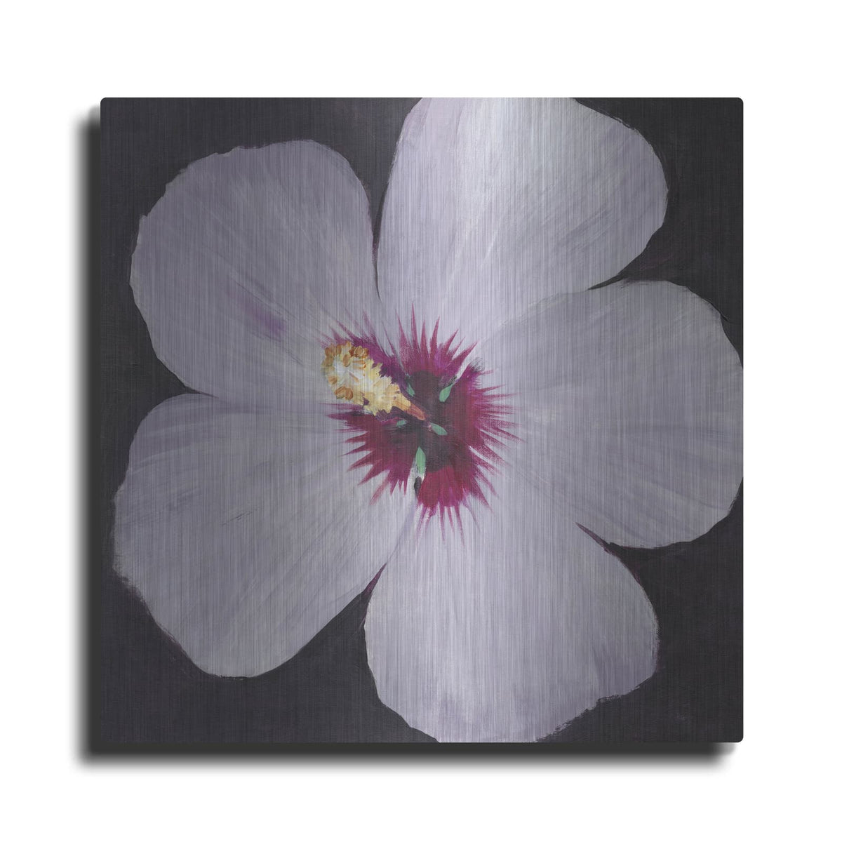 'Hibiscus Portrait I' by Tim O'Toole – Metal Wall Art