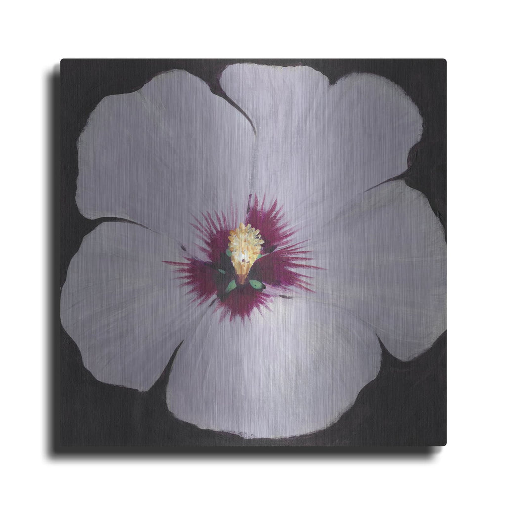 'Hibiscus Portrait II' by Tim O'Toole – Metal Wall Art