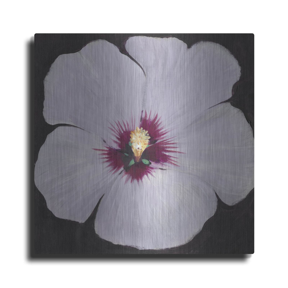'Hibiscus Portrait II' by Tim O'Toole – Metal Wall Art
