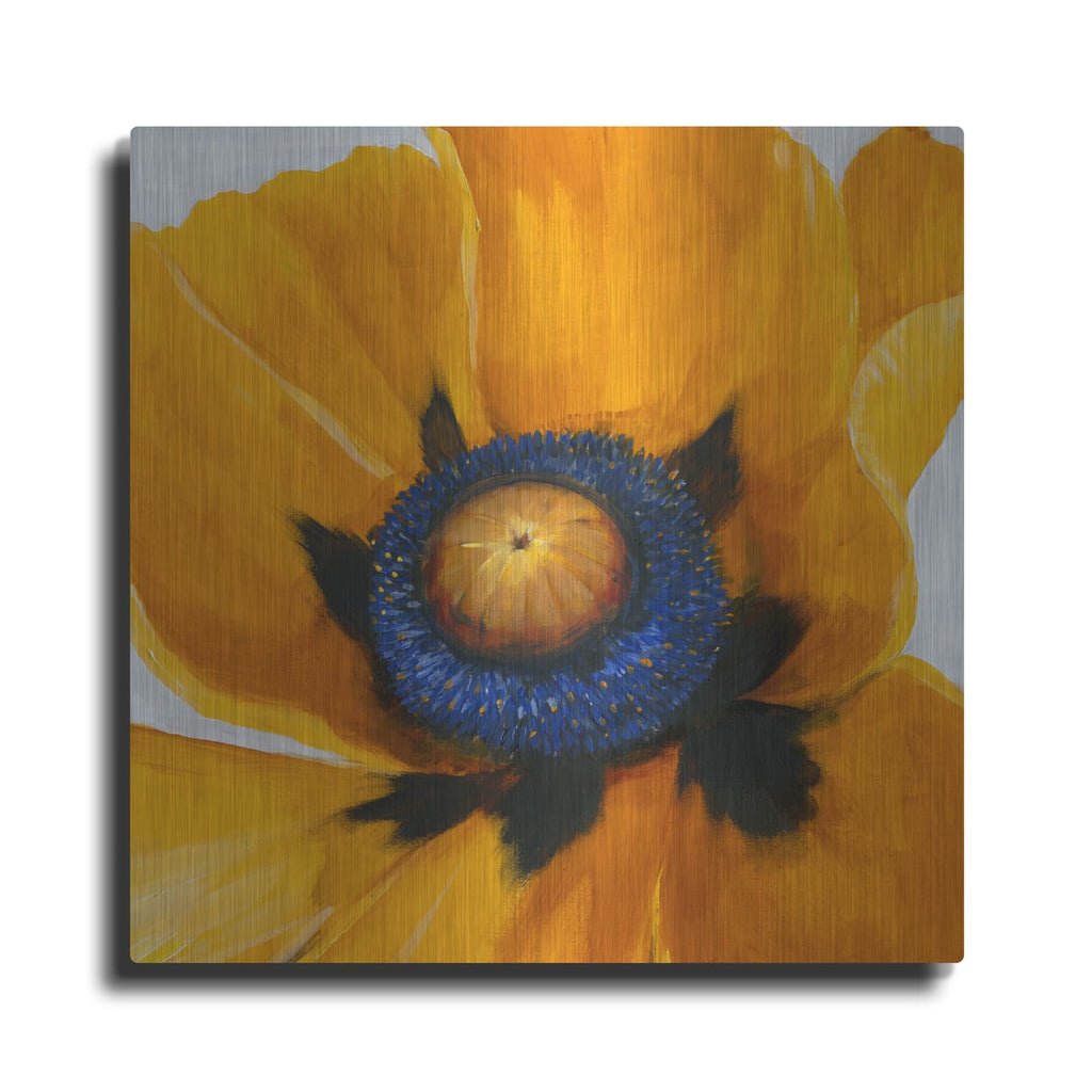 'Close-Up I' by Tim O'Toole – Metal Wall Art
