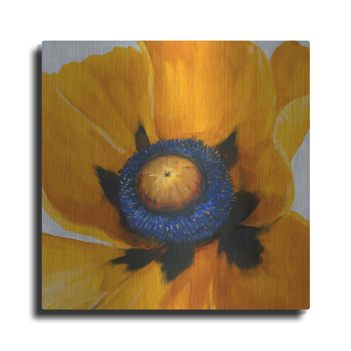 'Close-Up I' by Tim O'Toole – Metal Wall Art