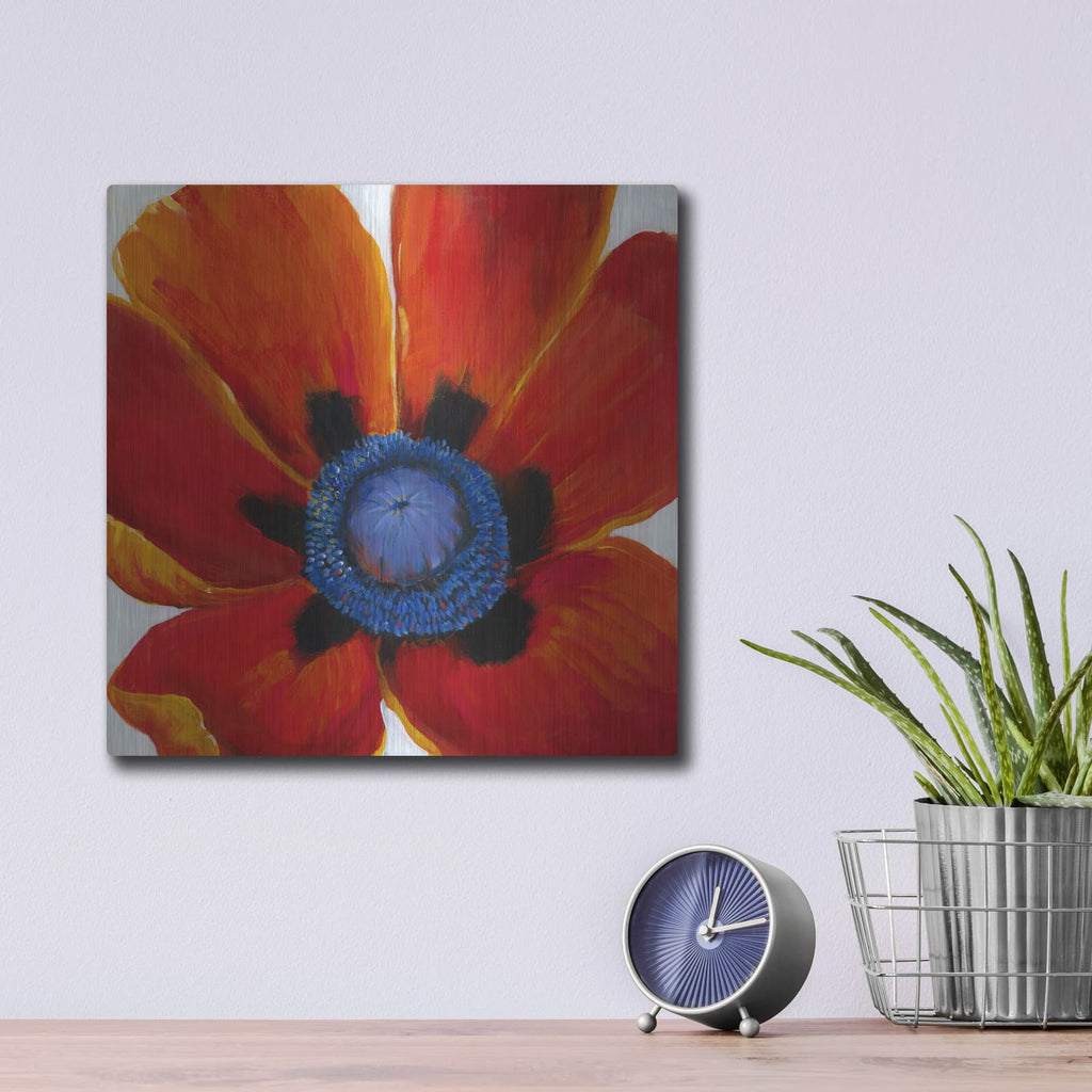 'Close-Up II' by Tim O'Toole – Metal Wall Art, 12x12 room view