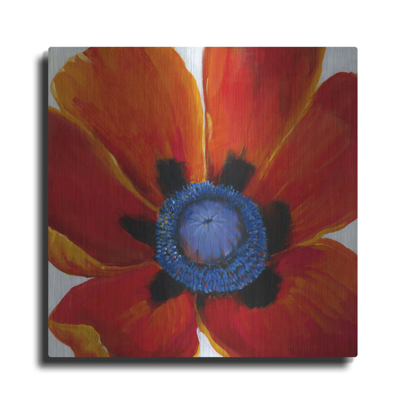 'Close-Up II' by Tim O'Toole – Metal Wall Art