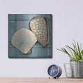 'Seashell Sketch I' by Tim O'Toole – Metal Wall Art, 12x12 room view