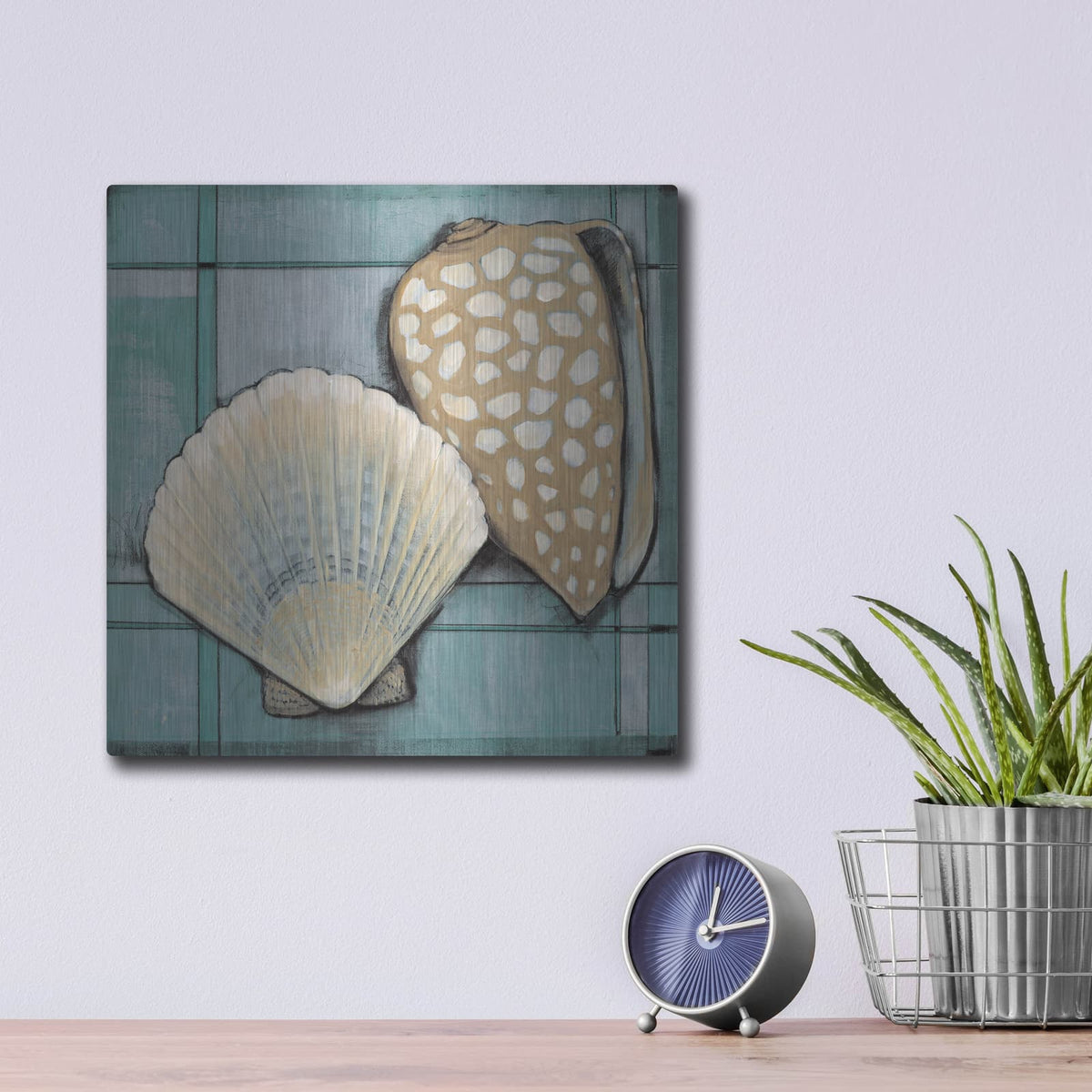 'Seashell Sketch I' by Tim O'Toole – Metal Wall Art, 12x12 room view
