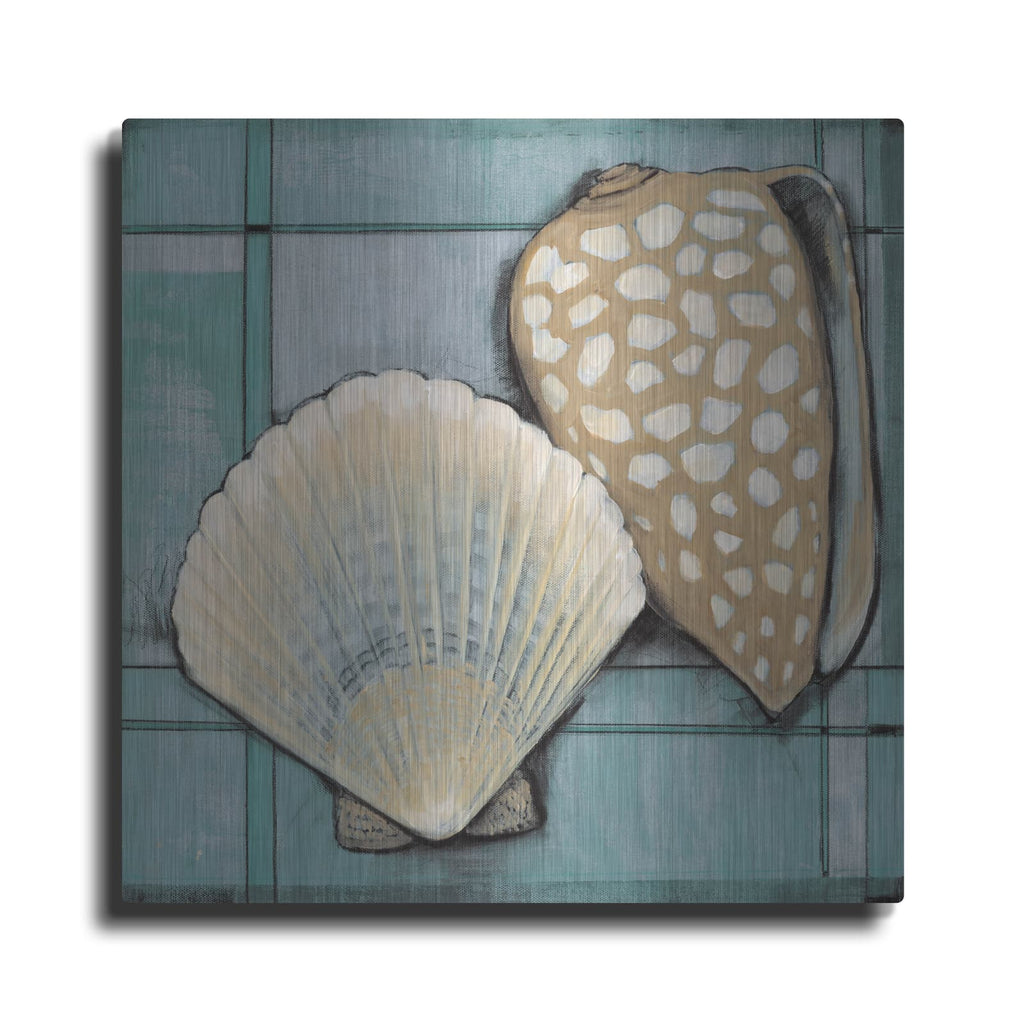 'Seashell Sketch I' by Tim O'Toole – Metal Wall Art