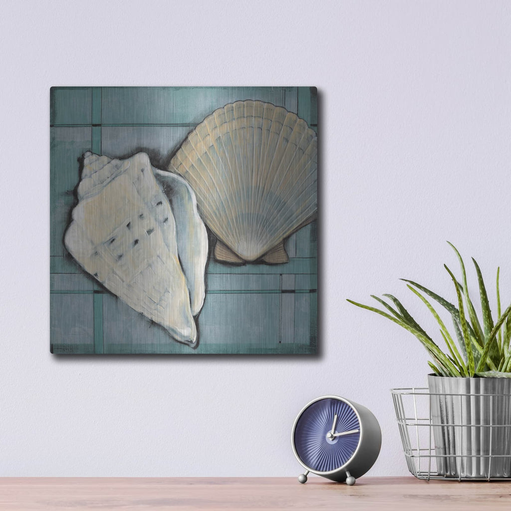 'Seashell Sketch II' by Tim O'Toole – Metal Wall Art, 12x12 room view