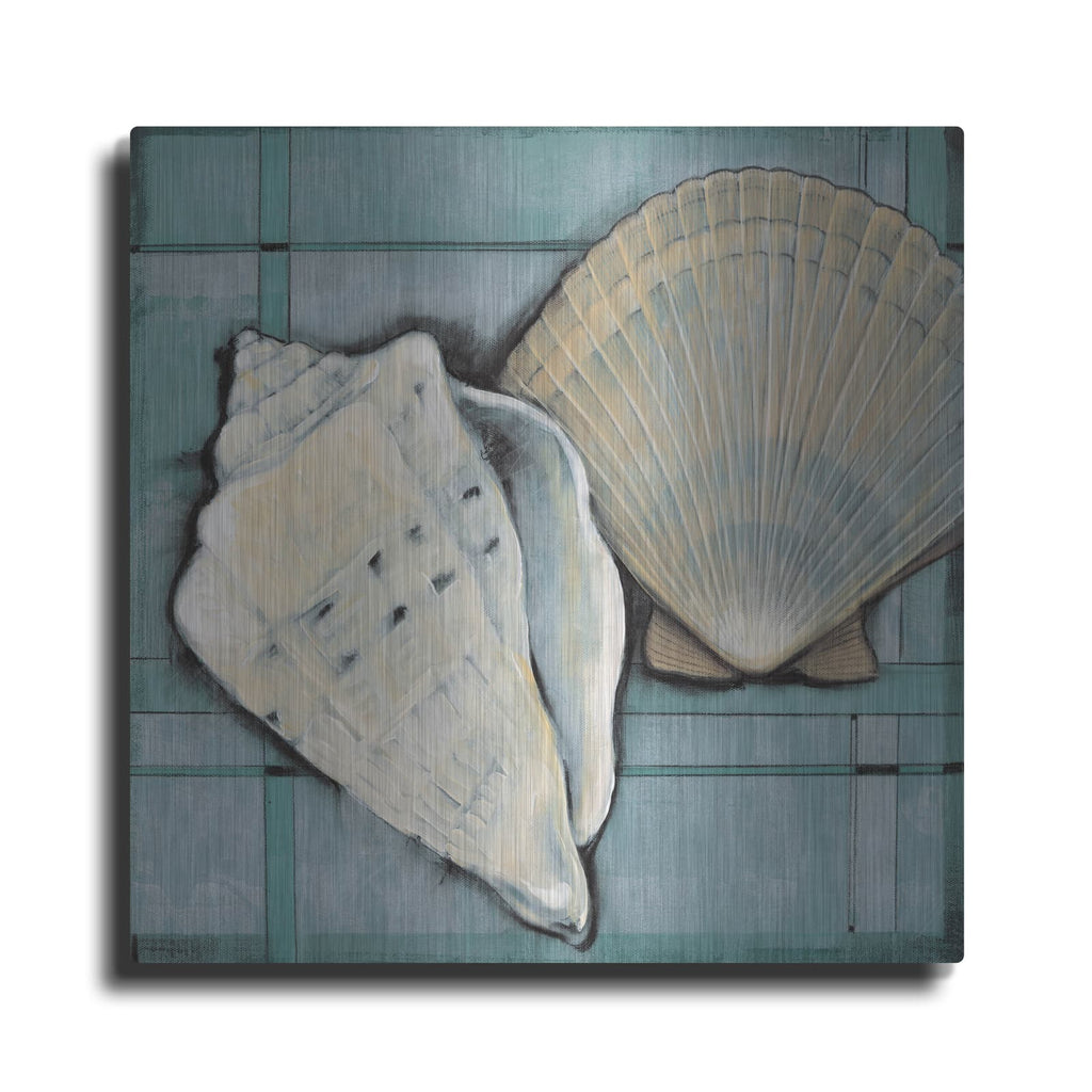 'Seashell Sketch II' by Tim O'Toole – Metal Wall Art
