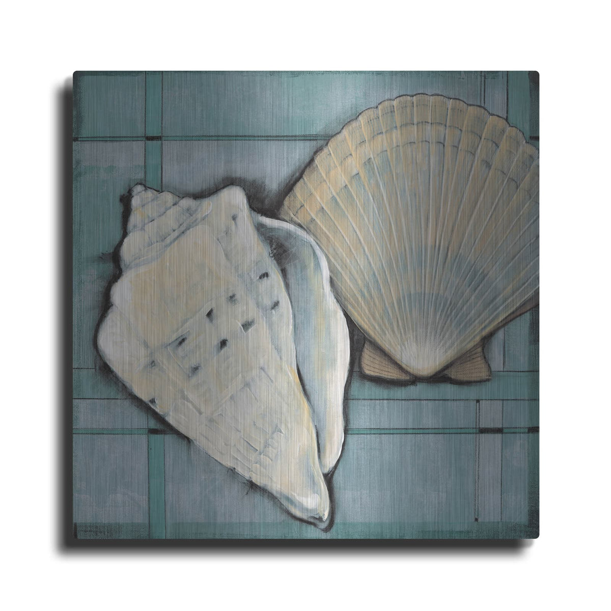 'Seashell Sketch II' by Tim O'Toole – Metal Wall Art