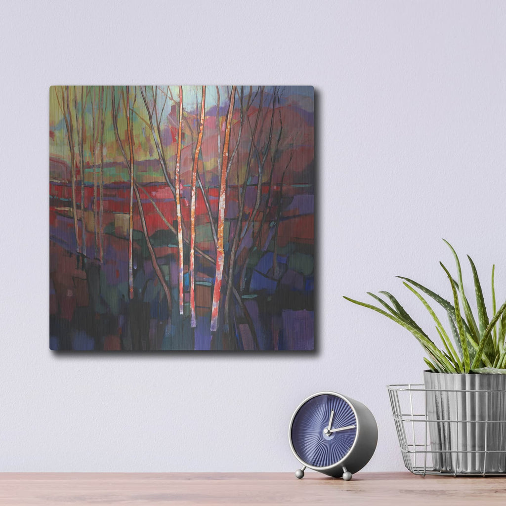 'Patchwork Trees I' by Tim O'Toole – Metal Wall Art, 12x12 room view