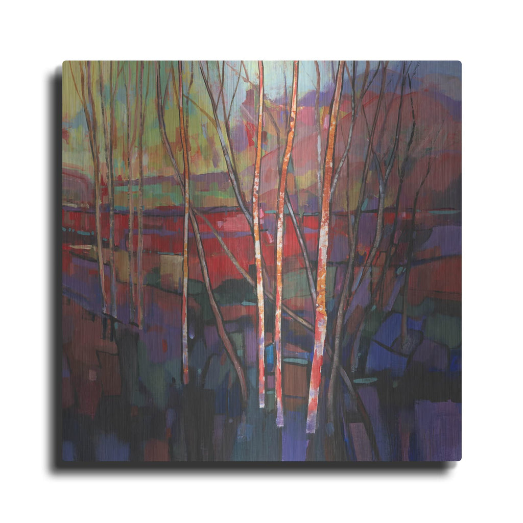 'Patchwork Trees I' by Tim O'Toole – Metal Wall Art