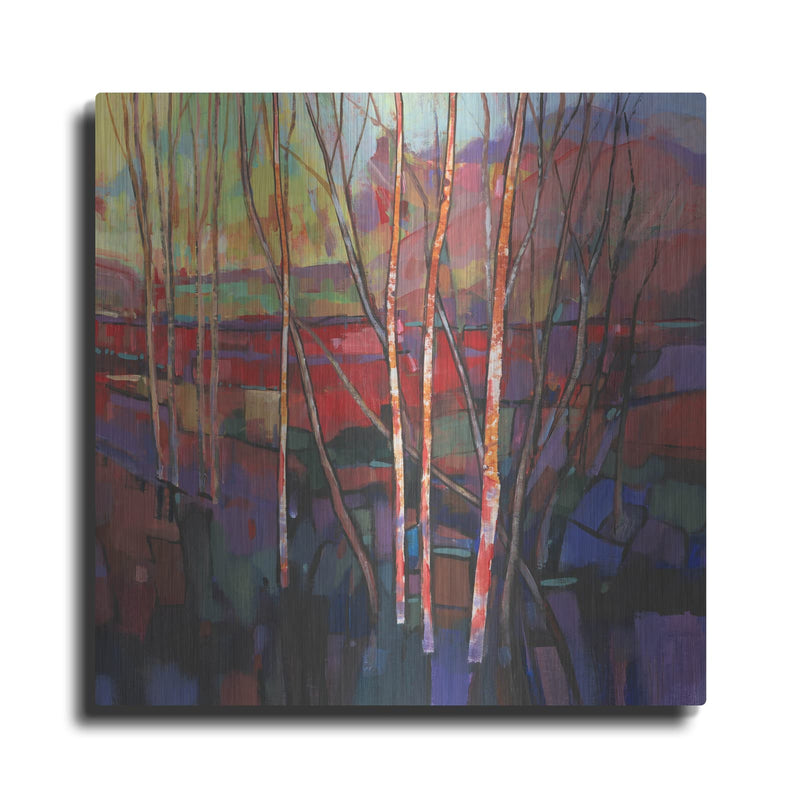 'Patchwork Trees I' by Tim O'Toole – Metal Wall Art