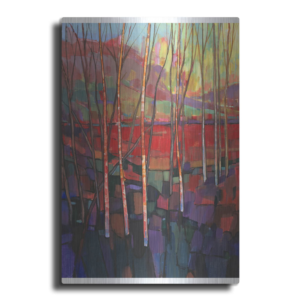 'Patchwork Trees II' by Tim O'Toole – Metal Wall Art