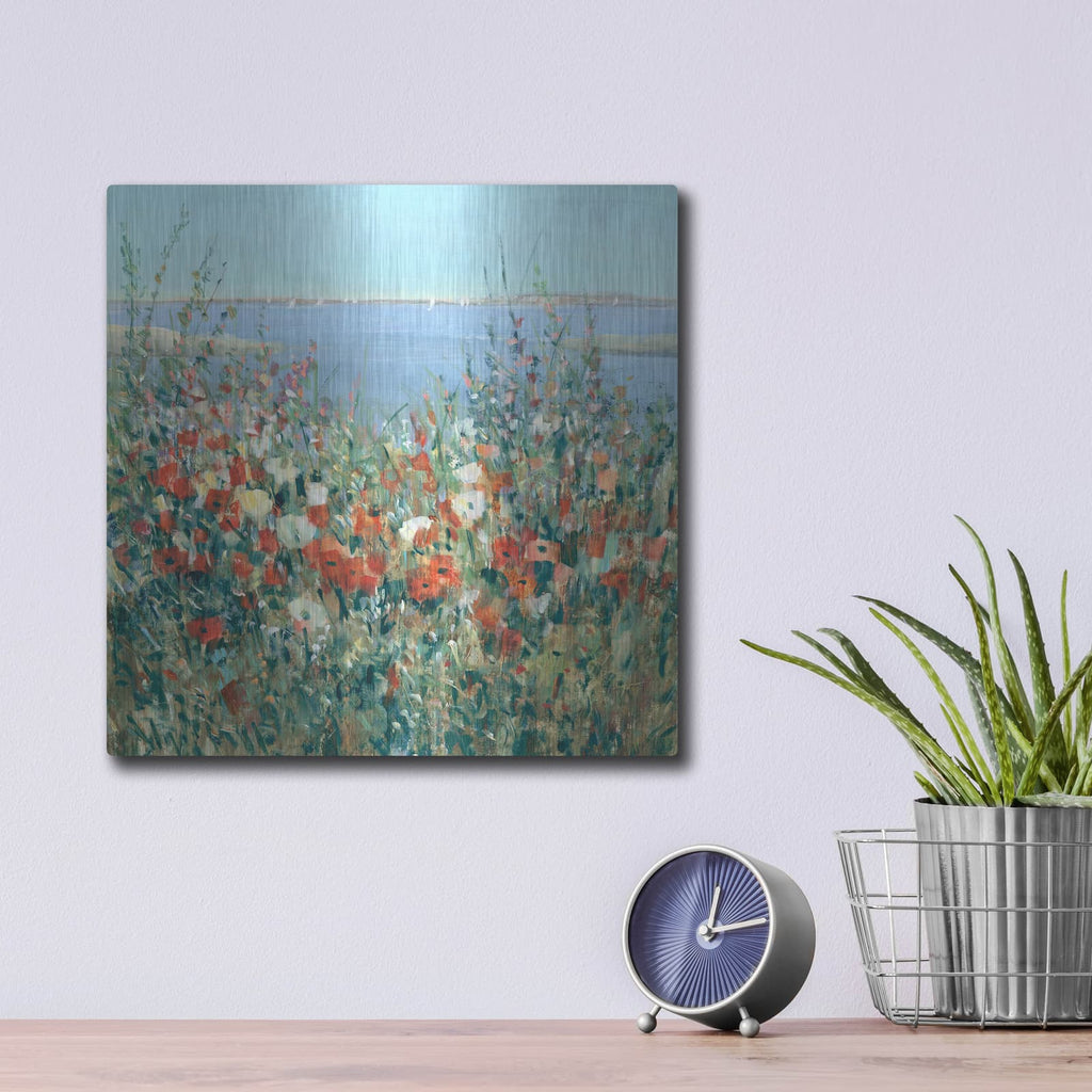 'Seaside Garden II' by Tim O'Toole – Metal Wall Art, 12x12 room view
