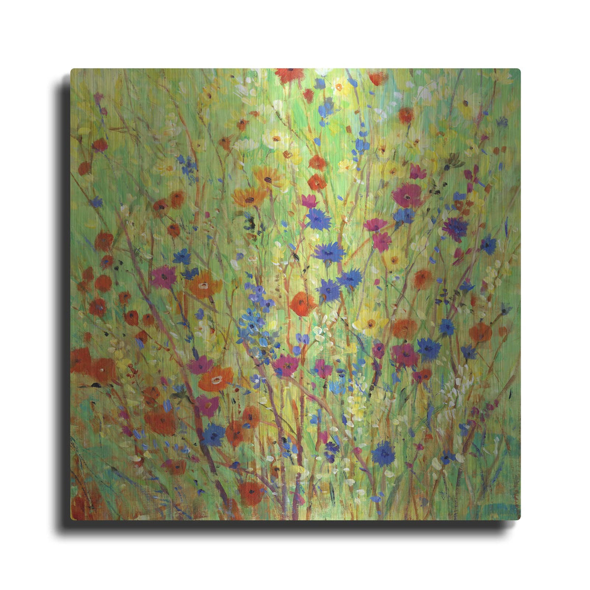 'Wildflower Patch II' by Tim O'Toole – Metal Wall Art