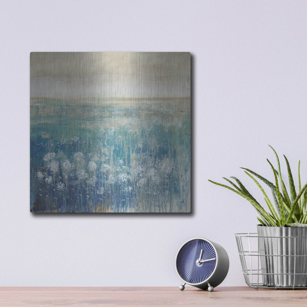 'Before the Rain II' by Tim O'Toole – Metal Wall Art, 12x12 room view