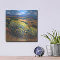 'Chamisa I' by Tim O'Toole – Metal Wall Art, 12x12 room view