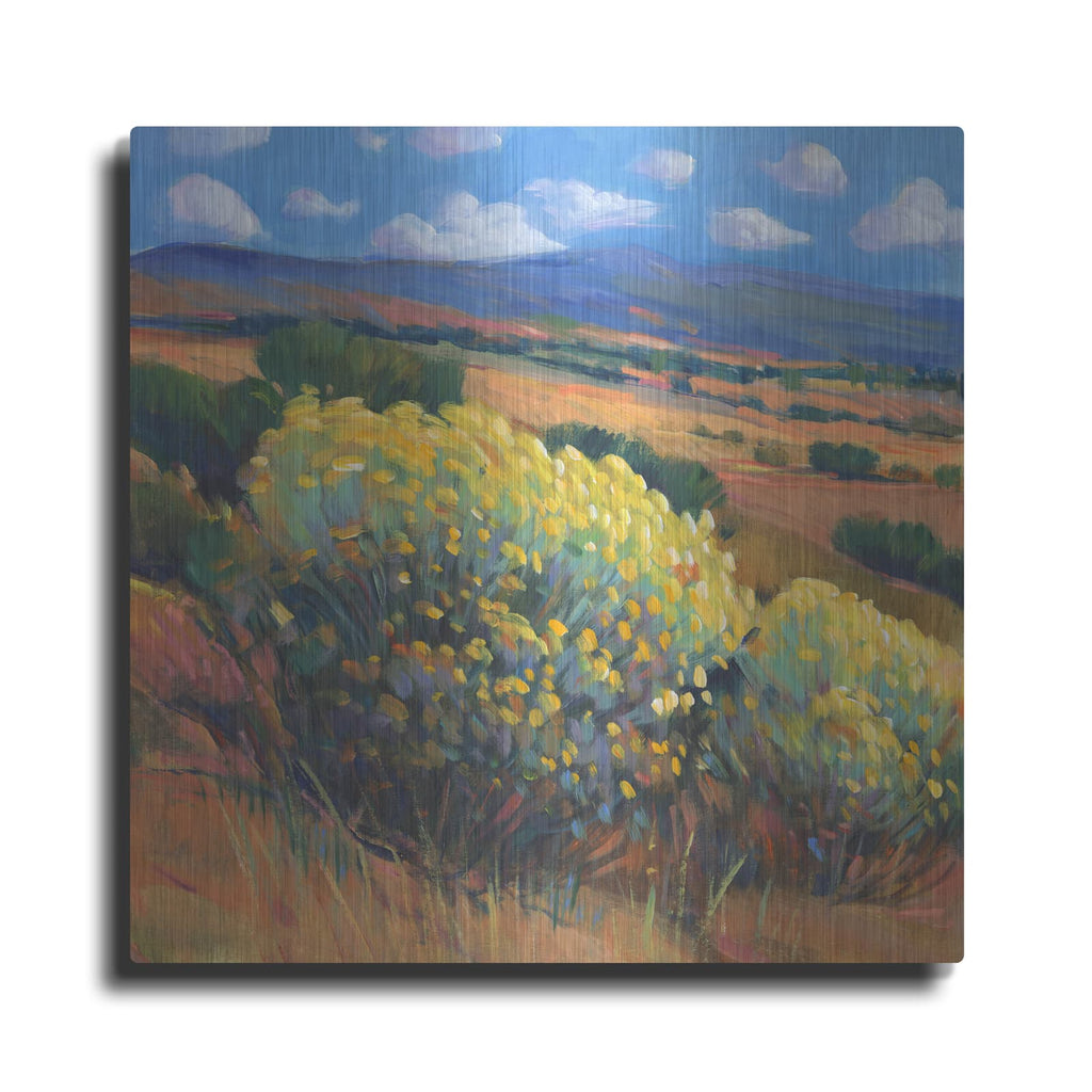 'Chamisa I' by Tim O'Toole – Metal Wall Art