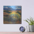 'Chamisa II' by Tim O'Toole – Metal Wall Art, 12x12 room view