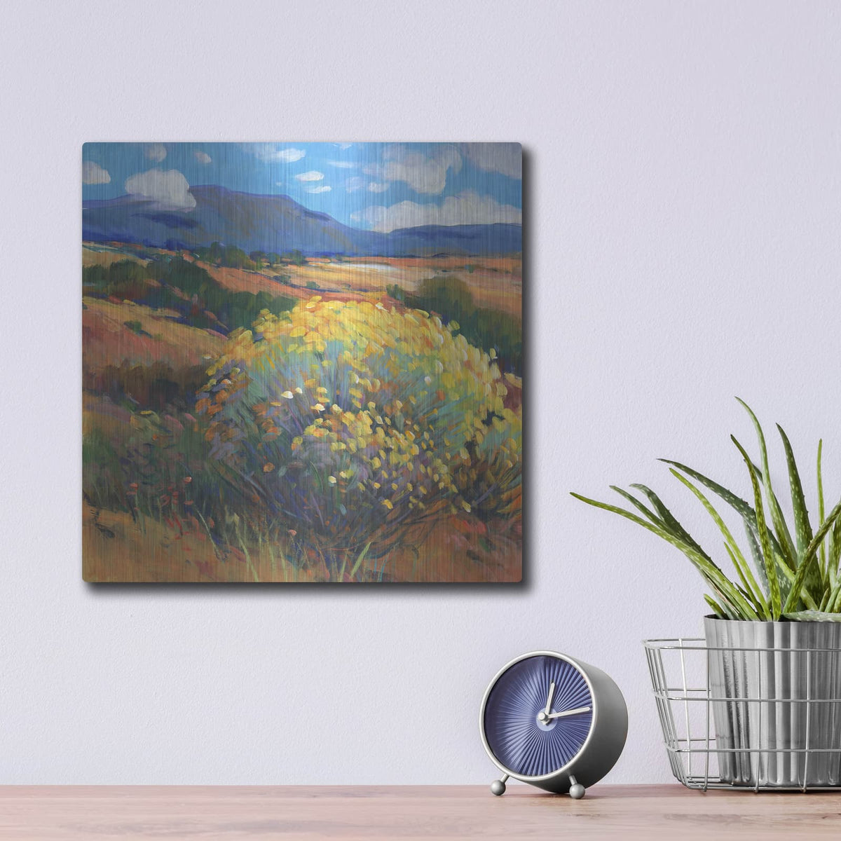 'Chamisa II' by Tim O'Toole – Metal Wall Art, 12x12 room view