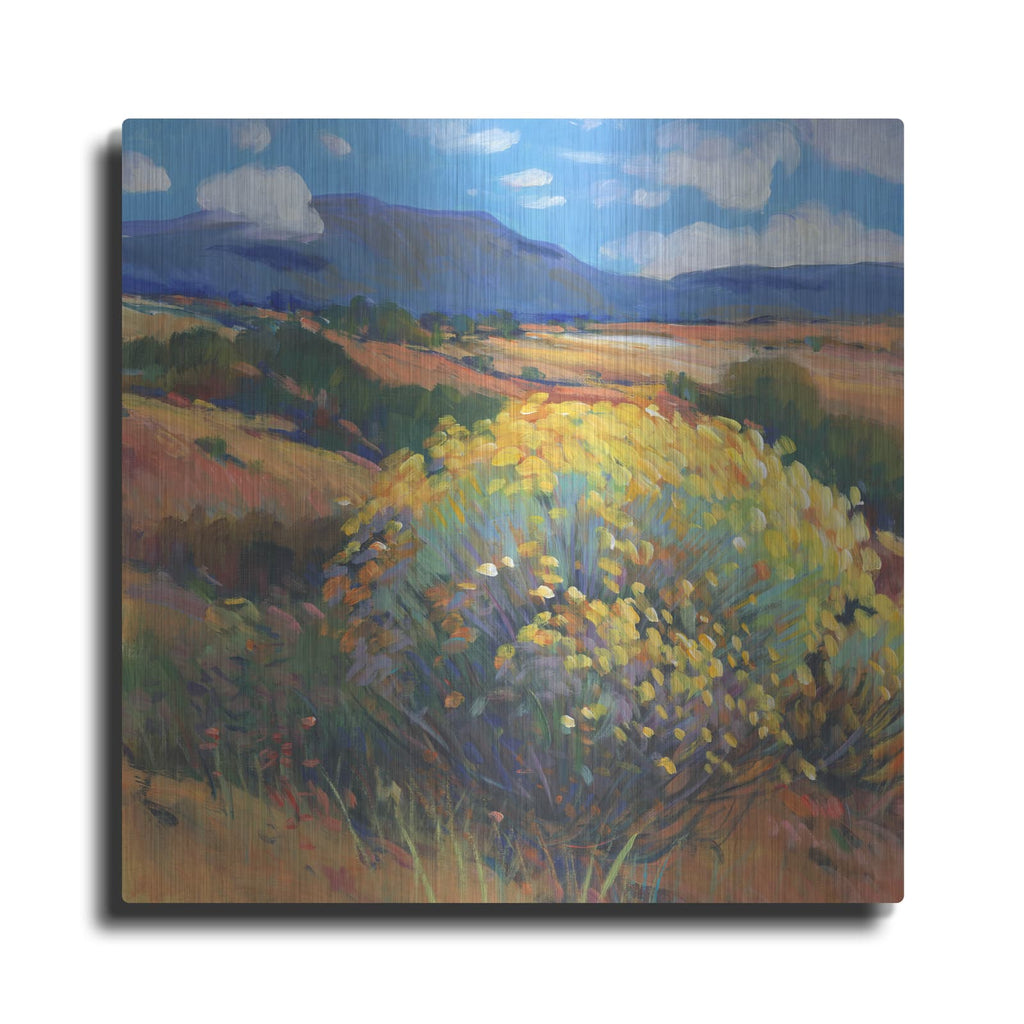 'Chamisa II' by Tim O'Toole – Metal Wall Art