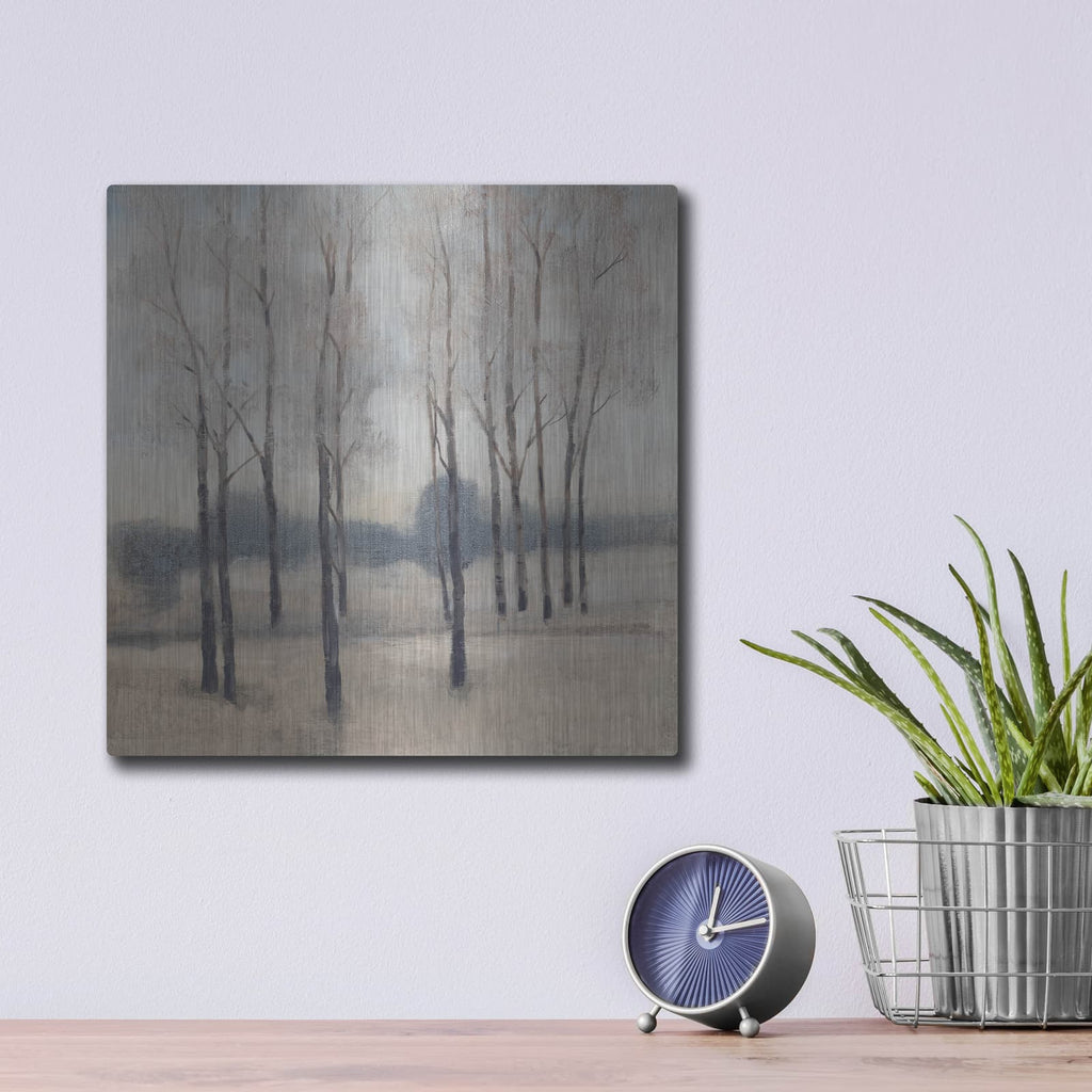 'Soft Light I' by Tim O'Toole – Metal Wall Art, 12x12 room view